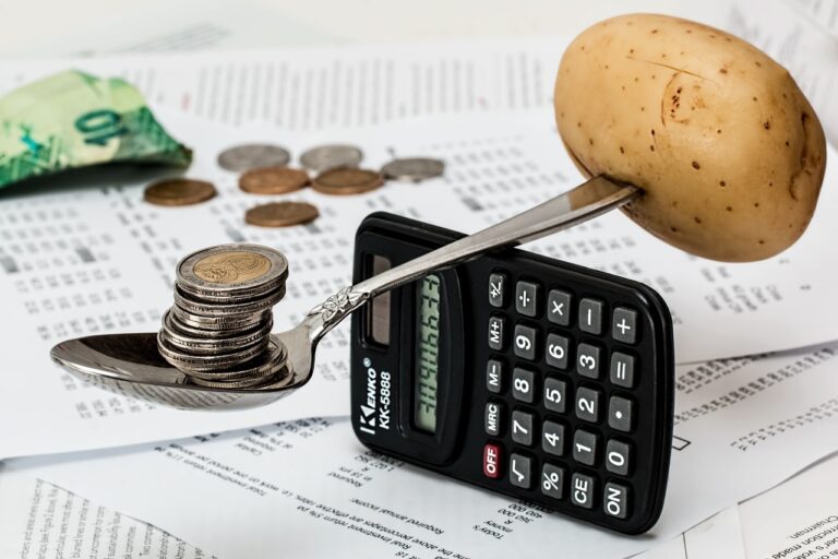 Gestione aziendale e finanziaria per le PMI