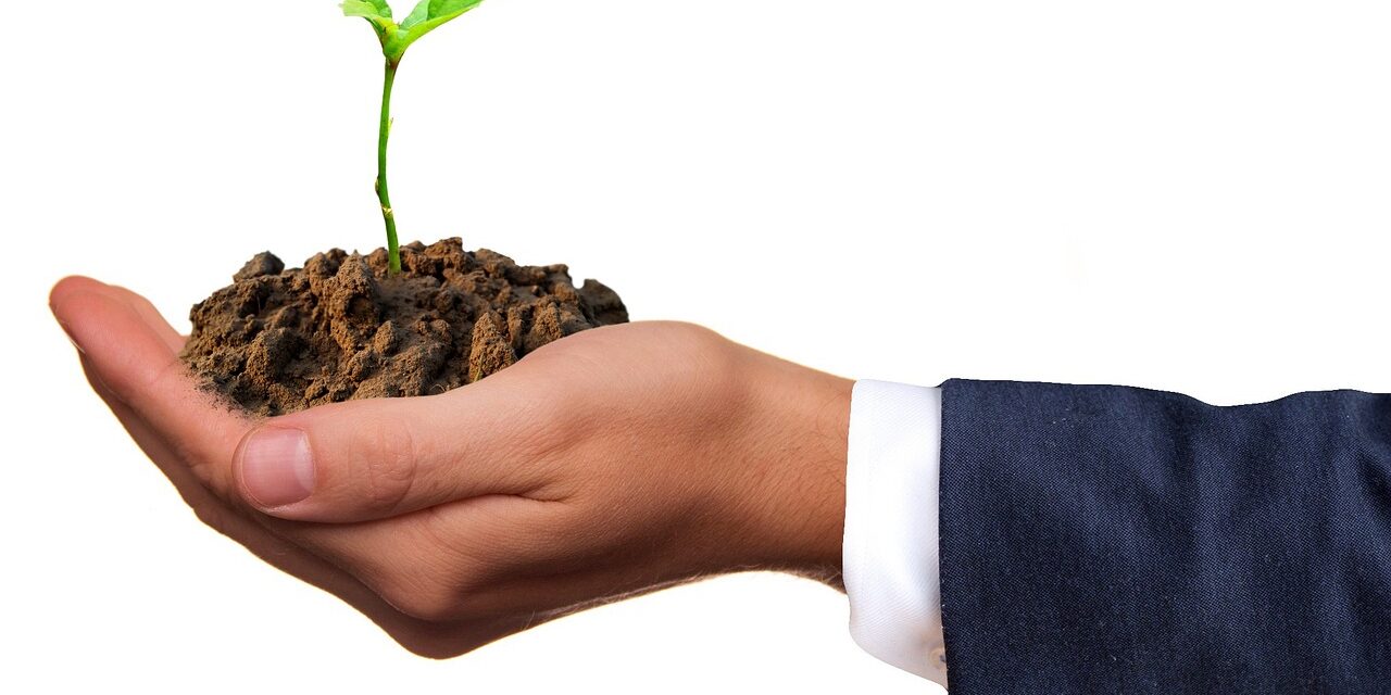 Le competenze “green” Le competenze “green”