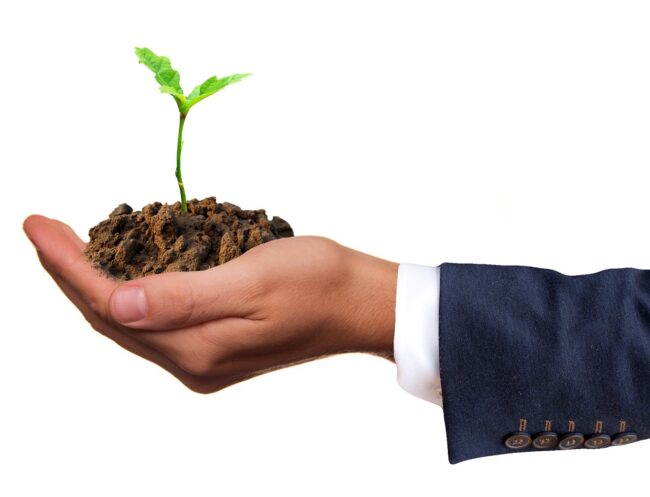 Le competenze “green”