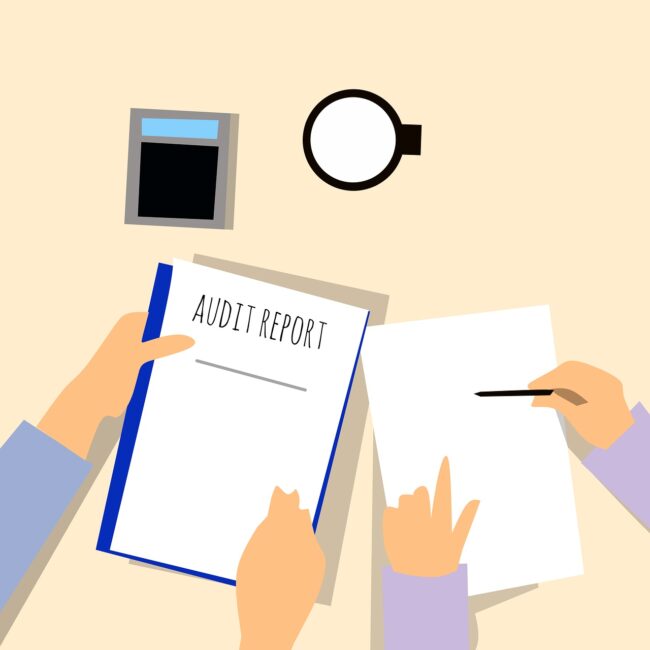 AUDIT delle competenze