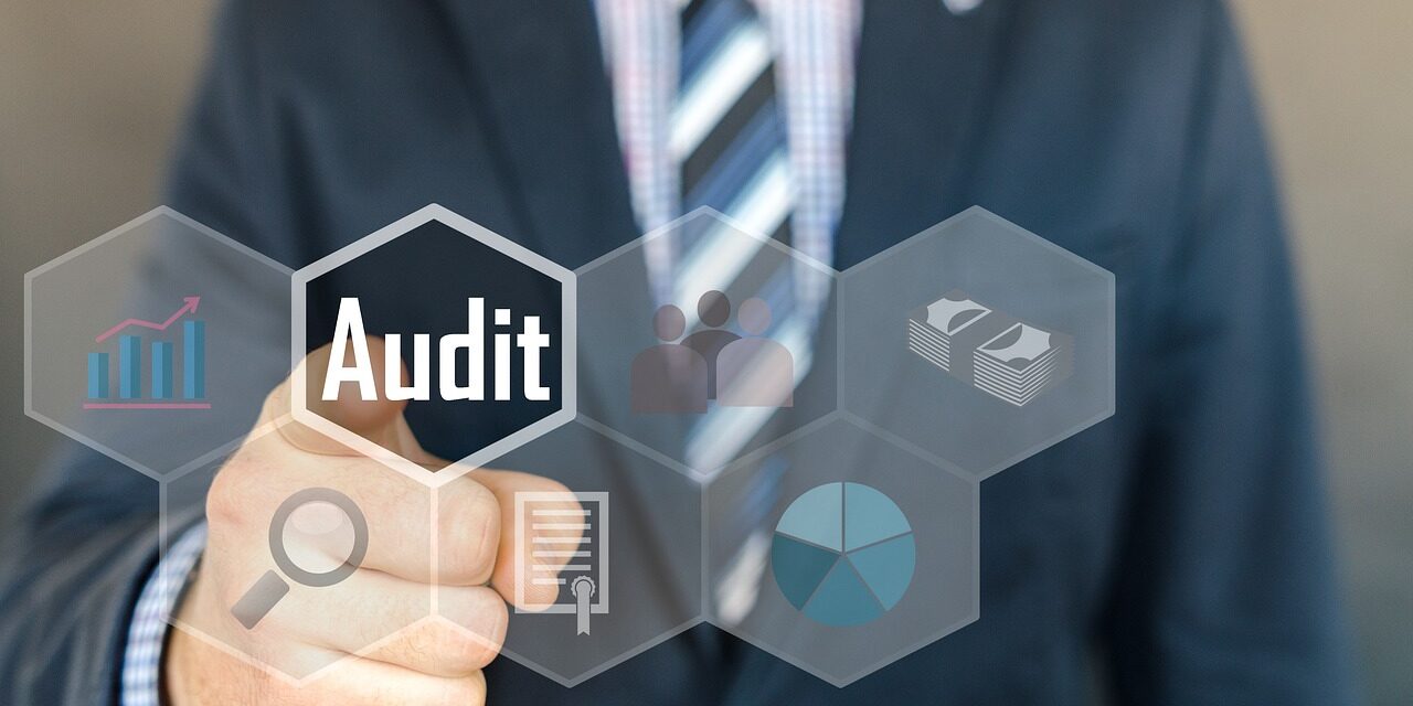Audit strategici Audit strategici